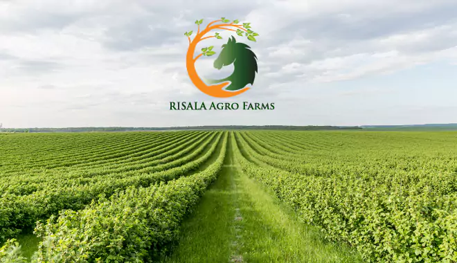 risala agro farms islamabad