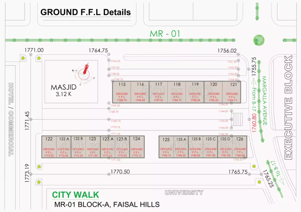 faisal hills downtown layout